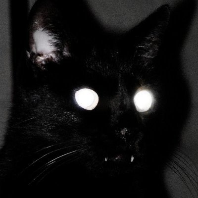 Aiay312's profile picture. MGTOW! The Future is Male
