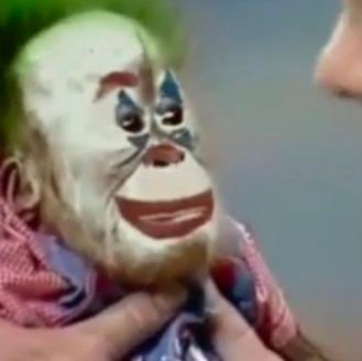 KuralbekD's profile picture.