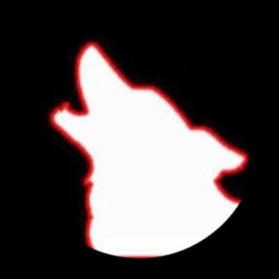 wolf457581's profile picture. 