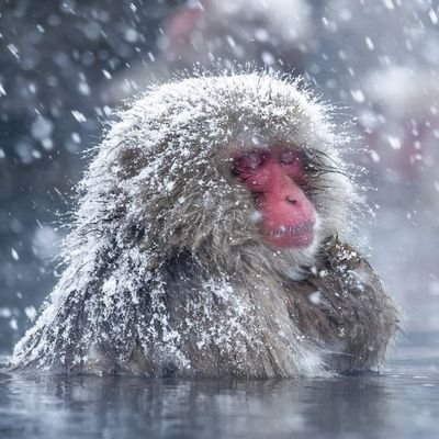 Vadim67466987's profile picture. I LOVE ANIMATING