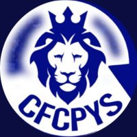 Andrew PYS (@andrew010719961) 's Twitter Profile