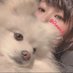 んぬ (@riannu_k) Twitter profile photo んぬ (@riannu_k) Twitter profile photo