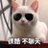 dhskKnslQn's profile image
