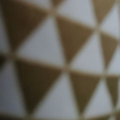 wd4315048819101's profile picture. 