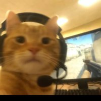 gofri (@den676767) 's Twitter Profile