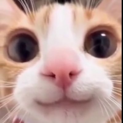 cabe2tuf's profile picture. 15 (D1 FORTNITE PRO🏆)