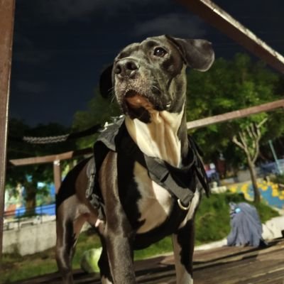 johnPe_Fz's profile picture. 