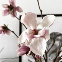 ͏͏͏͏ً (@katariunabluu) 's Twitter Profile