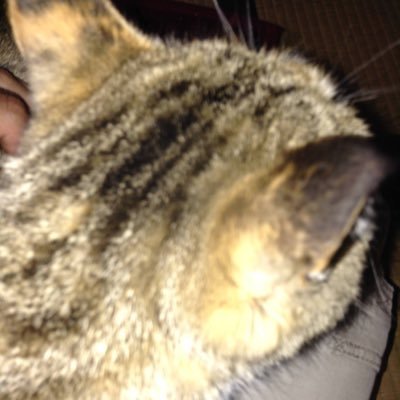 0≒∞。出来損ない独身異常社会的弱者。発達+精神のダブル持ちで報酬系をやられてしまった愚行権と承認欲求のかまたり。予備アカは @5thDT_SUN です。窮すれば鈍すなので欲しい物リストから何かしら送って頂けたら本当に助かります。