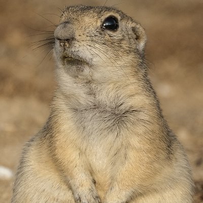 Namename067291's profile picture. 