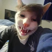 kurdapya (@userkurdapya) 's Twitter Profile Photo kurdapya (@userkurdapya) 's Twitter Profile Photo