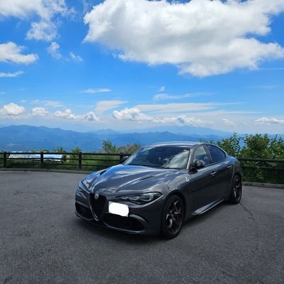 限界サラリーマン/ジュリアQV後期乗り🐍🍀/出張族 (マリオットアンバサダー/ANAダイヤモンド)/3児の父