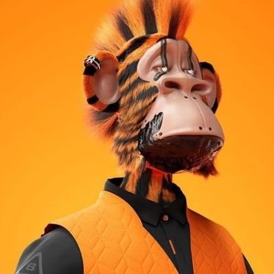 nftamit014's profile picture. I’m real & expecting my followers are too