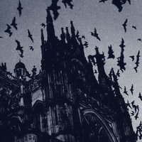 Zain (@_zain_17) 's Twitter Profile