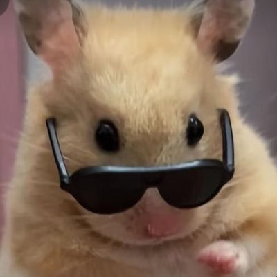 jrr615hshs's profile picture. じゅりくんﾒﾛﾒﾛアカウントに路線変更中𖦹