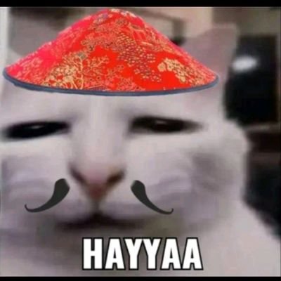 miloaissbungkus's profile picture. 