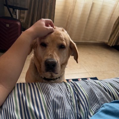 JEdgarPM's profile picture. Science Memes, Petrol Head

Married