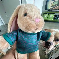 Tracy Ricks (@jubelyn142458) 's Twitter Profile