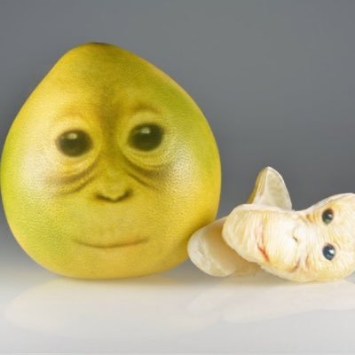 annoytheorange's profile picture. fee fi fo fum. 𓆝 𓆡