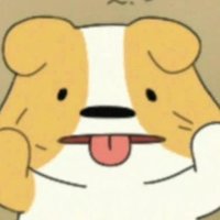 담 (@damhvlrt) 's Twitter Profile