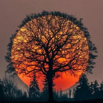 Salute to the soul who walked into the fire so others could walk free.