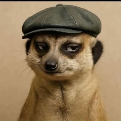 bonnie_ek's profile picture. Resolving Cognitive Dissonance