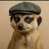 bonnie_ek's profile picture. Resolving Cognitive Dissonance