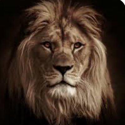 GOD Fearing Man married to a GOD Fearing Woman. Thankful for Blessings From Our Great and Awesome GOD Yeshua Ha-Mashiach The Lord Jesus Christ.