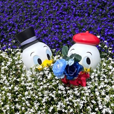 Sion94412641165's profile picture. pso2 ngs ship6で活動してます、ナイトレイ、スト6やってます。