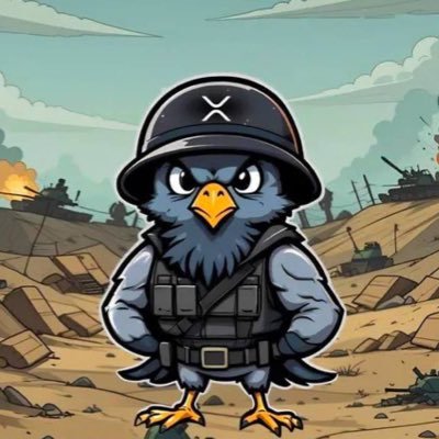 PigeonArmy6's profile picture. 