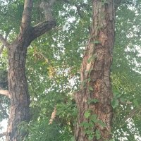 soni (@soni1550206) 's Twitter Profile Photo