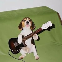 BBRockstar🎸✨ (@inwillestarms) 's Twitter Profile