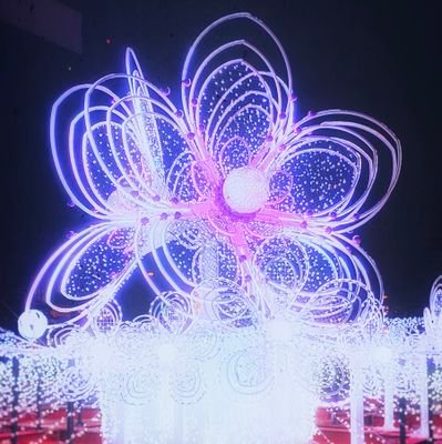 Iroiro_alpha's profile picture. insta：https://t.co/afEI5mkfqB
概ねポートレート専用です🌟