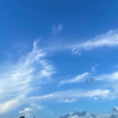 CSRoMf0fFT47875's profile picture. 初めましての方は初めまして。気づいたら夏が終わりかけててびっくりした人です。 ここ数ヶ月間ずっと何もしてなかったので改めて活動します。