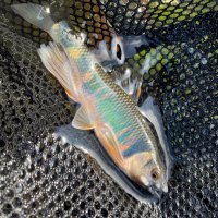 Atsunori (@atsuh8) 's Twitter Profile