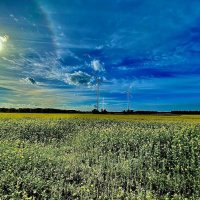 Angsthase (@lostbischof) 's Twitter Profile