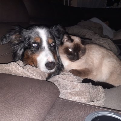 nicol23086's profile picture. 