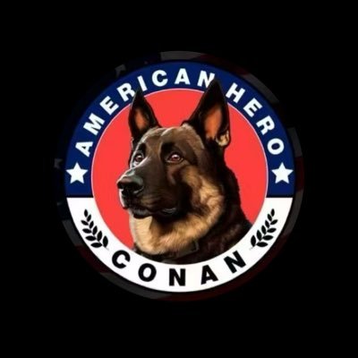 conan CQvadZTR8vikRqqwyhvYV8YpdfCRjUCGyQwCuY4rxBQt