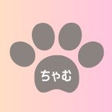 XsngsFnz's profile picture. 