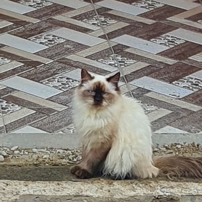 btctothemoon168's profile picture. 