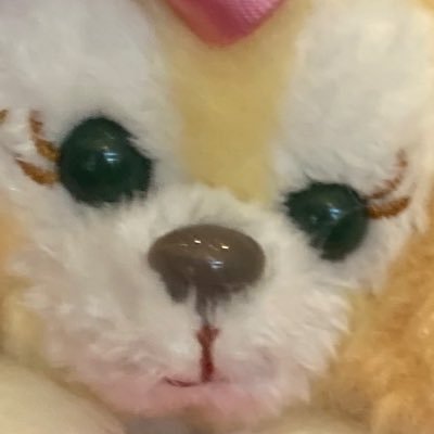 あゆさんのプロフィール画像