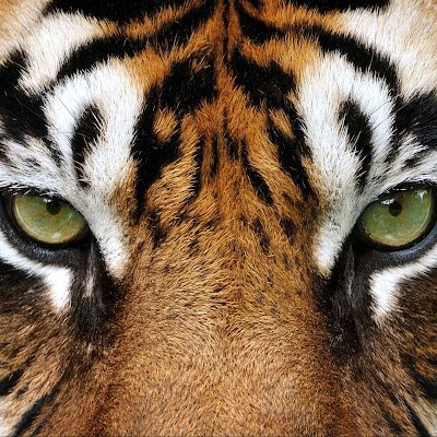 IamNigh49027's profile picture. This is a parodic account. I will follow most people if their point of view is  correct. 
French ,english , italian or spanish please.