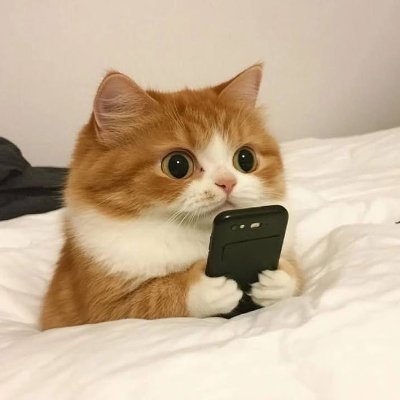 xamarthkosta's profile picture. 