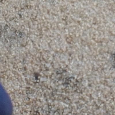 devplyer's profile picture. 