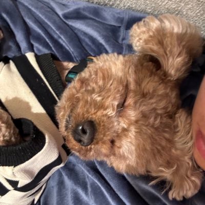 ASz063ym3I3746's profile picture. 