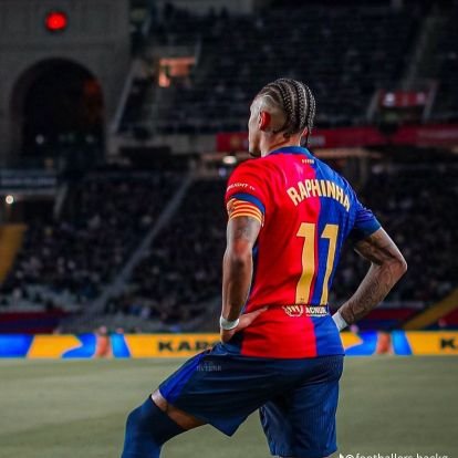 mrkonja_vedad's profile picture. 16 | 🇧🇦 |FN player