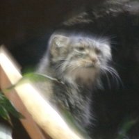 kmy (@kmy327) 's Twitter Profile