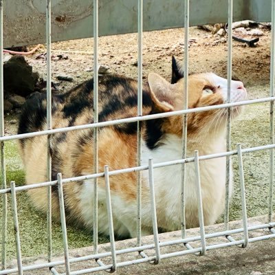 softmusic0623's profile picture. #끄적 오시리스트 : 💙🐟🌙✨💀📜🌊🫧🔥💗