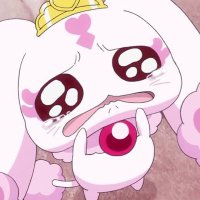 miya (@y4p_kp) 's Twitter Profile