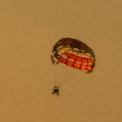 Darkboyit's profile picture. cs